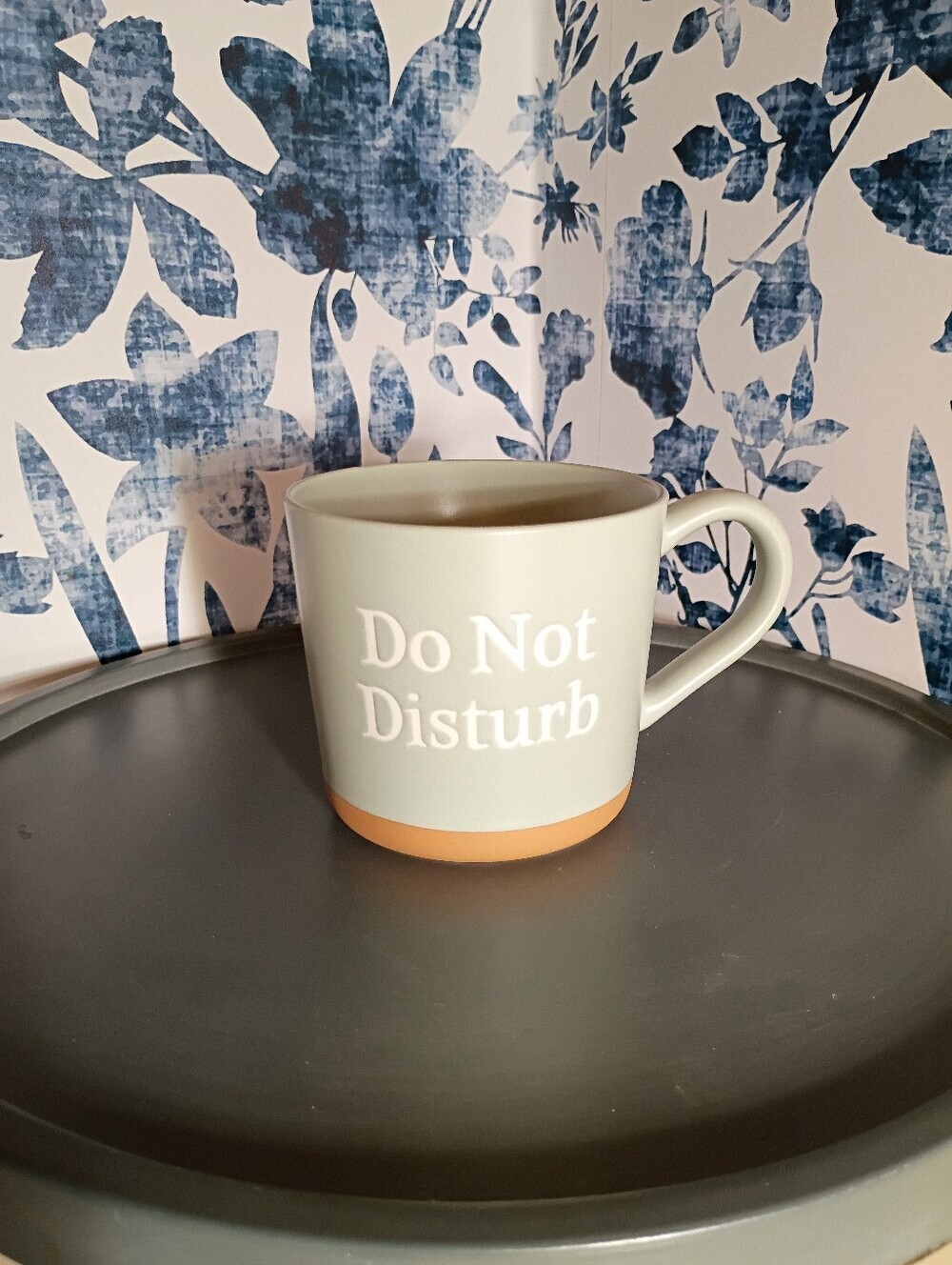 Threshold “Do Not Disturb” Stoneware Coffee Mug Sage Green Terracotta Bottom